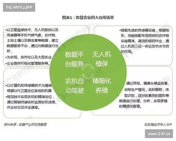 士队赛事数据在哪里看;士队全年赛事数据的全面详细统计分析评估报告与未来趋势预测